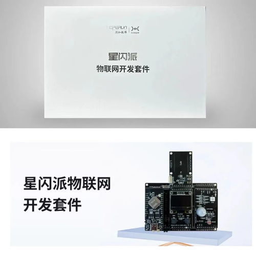 潤(rùn)和軟件攜“星閃”“鴻蒙”產(chǎn)品亮相FCES2024未來計(jì)算機(jī)教育峰會(huì)，引領(lǐng)軟件開發(fā)新趨勢(shì)